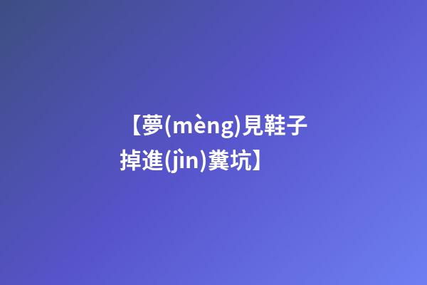 【夢(mèng)見鞋子掉進(jìn)糞坑】