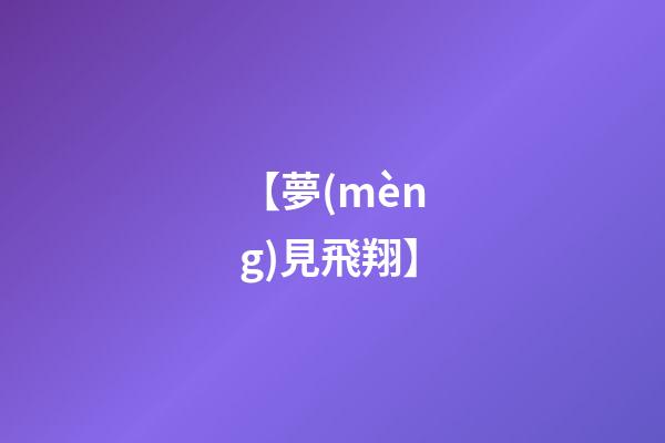 【夢(mèng)見飛翔】