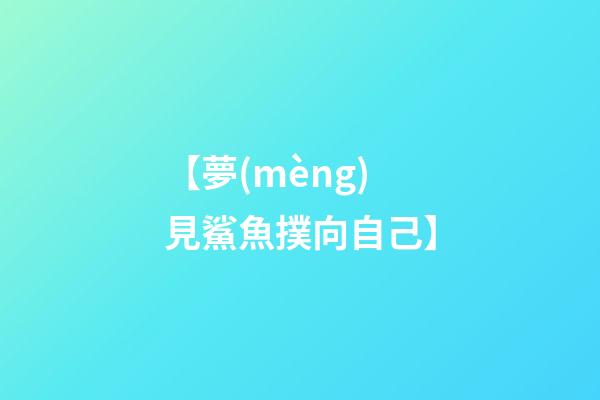 【夢(mèng)見鯊魚撲向自己】