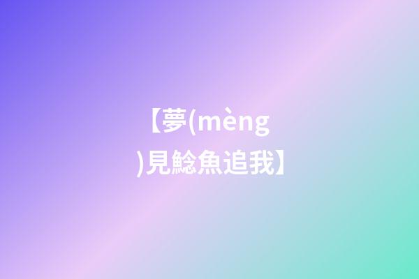 【夢(mèng)見鯰魚追我】