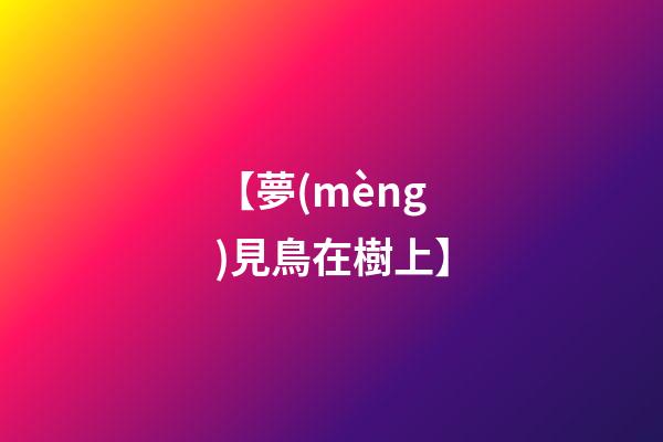【夢(mèng)見鳥在樹上】