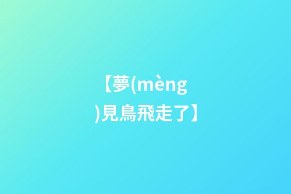 【夢(mèng)見鳥飛走了】