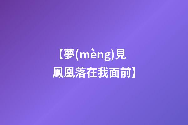 【夢(mèng)見鳳凰落在我面前】