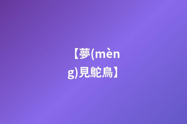 【夢(mèng)見鴕鳥】