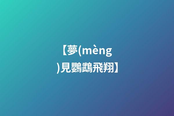 【夢(mèng)見鸚鵡飛翔】