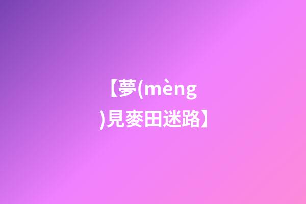 【夢(mèng)見麥田迷路】