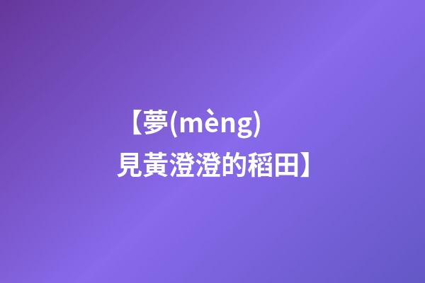 【夢(mèng)見黃澄澄的稻田】