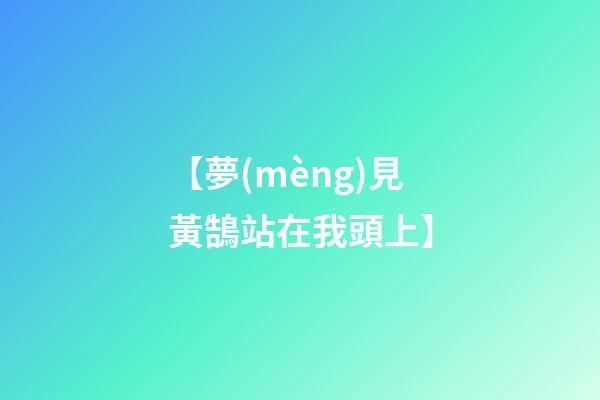 【夢(mèng)見黃鵠站在我頭上】