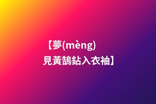 【夢(mèng)見黃鵠鉆入衣袖】