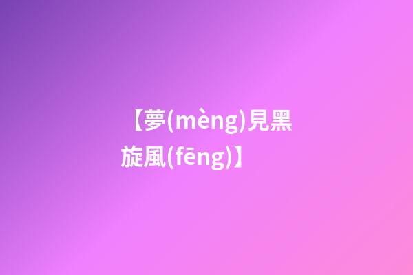 【夢(mèng)見黑旋風(fēng)】