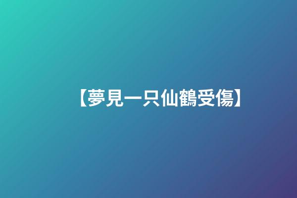 【夢見一只仙鶴受傷】