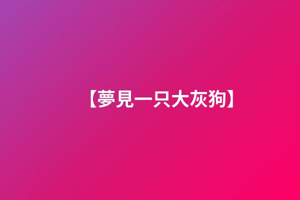 【夢見一只大灰狗】