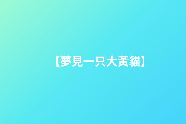 【夢見一只大黃貓】