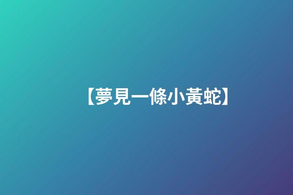 【夢見一條小黃蛇】