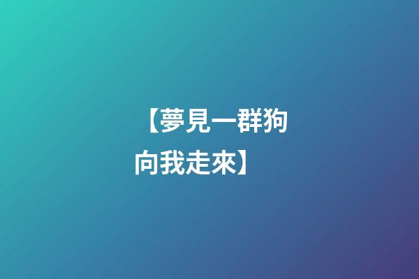 【夢見一群狗向我走來】