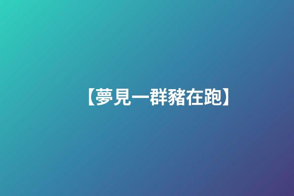 【夢見一群豬在跑】