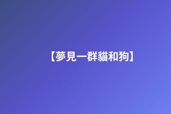 【夢見一群貓和狗】