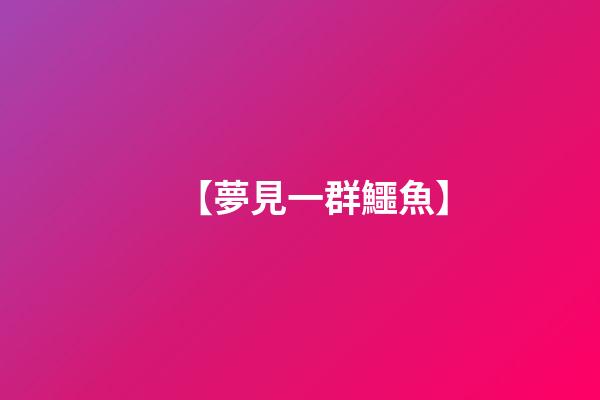 【夢見一群鱷魚】