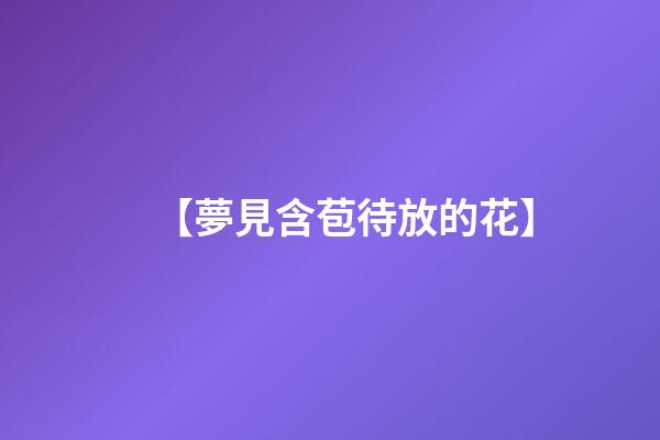 【夢見含苞待放的花】