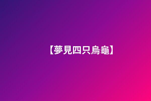 【夢見四只烏龜】
