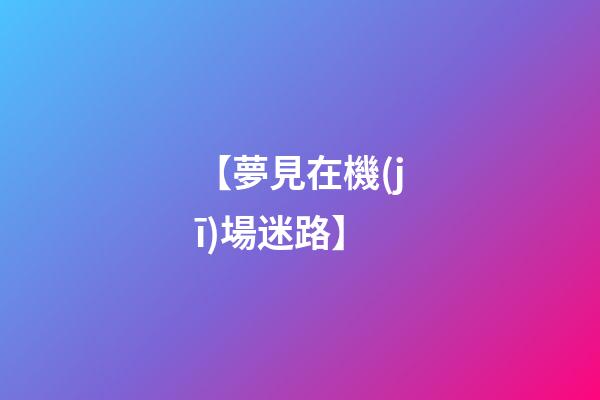 【夢見在機(jī)場迷路】