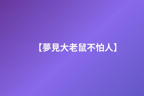 【夢見大老鼠不怕人】