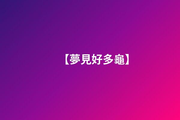 【夢見好多龜】