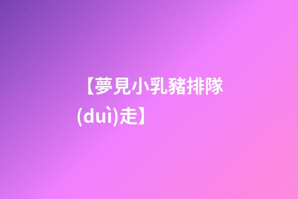 【夢見小乳豬排隊(duì)走】
