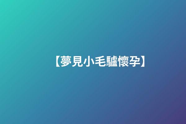 【夢見小毛驢懷孕】