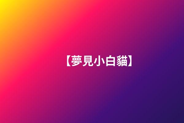 【夢見小白貓】
