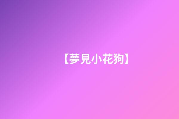 【夢見小花狗】
