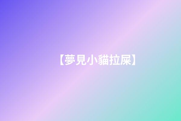 【夢見小貓拉屎】