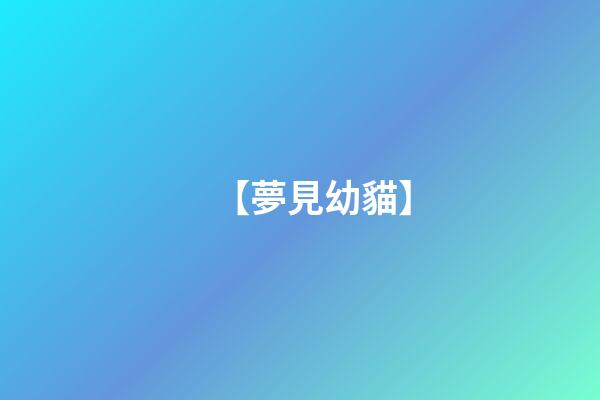 【夢見幼貓】