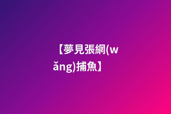 【夢見張網(wǎng)捕魚】