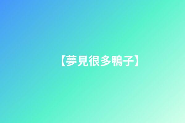 【夢見很多鴨子】