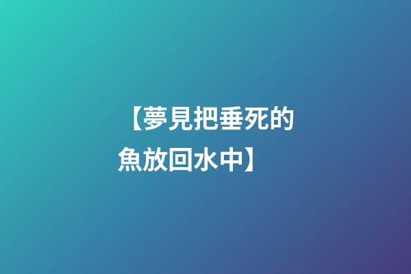 【夢見把垂死的魚放回水中】
