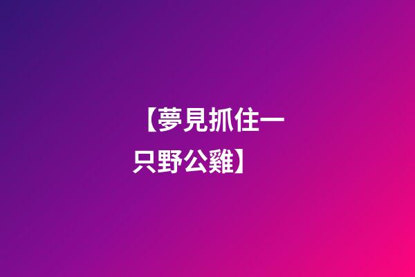 【夢見抓住一只野公雞】