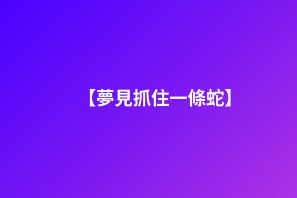 【夢見抓住一條蛇】