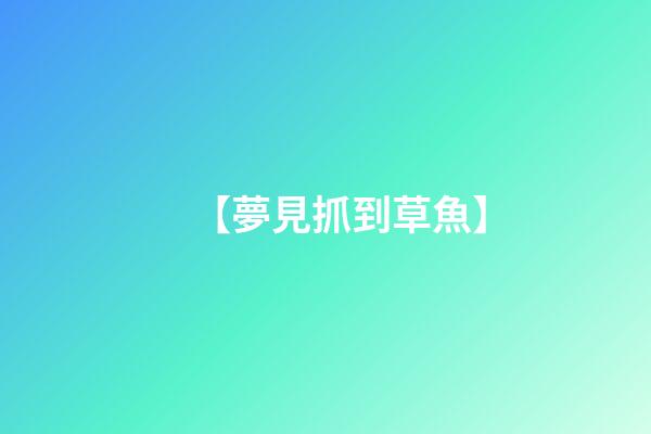 【夢見抓到草魚】