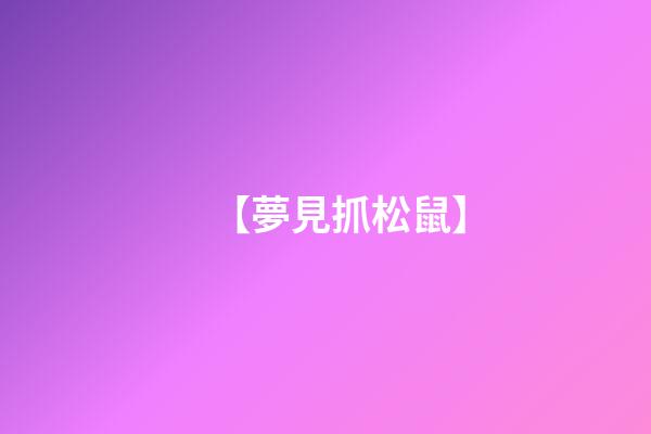 【夢見抓松鼠】