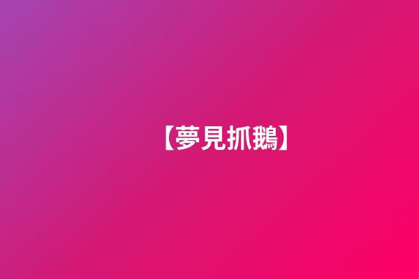 【夢見抓鵝】