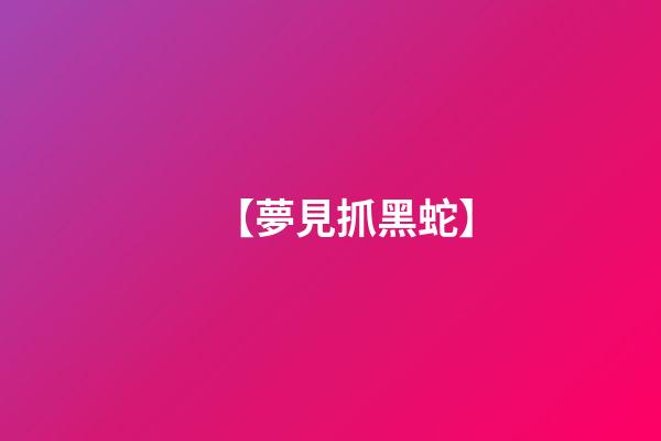 【夢見抓黑蛇】