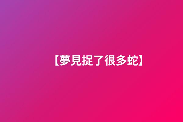 【夢見捉了很多蛇】