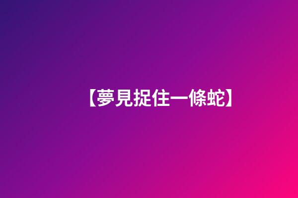【夢見捉住一條蛇】
