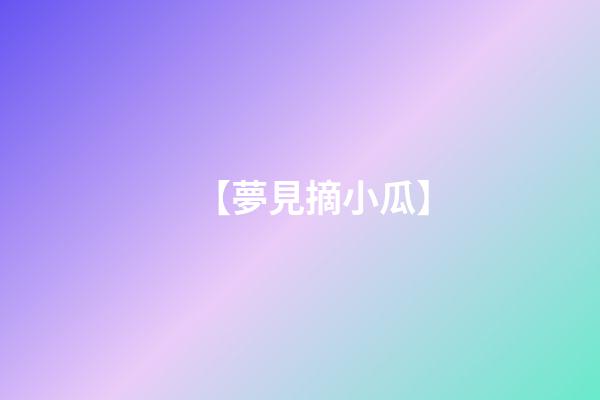 【夢見摘小瓜】