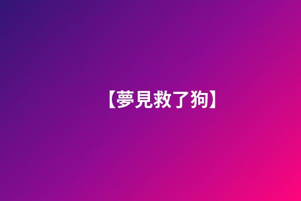 【夢見救了狗】