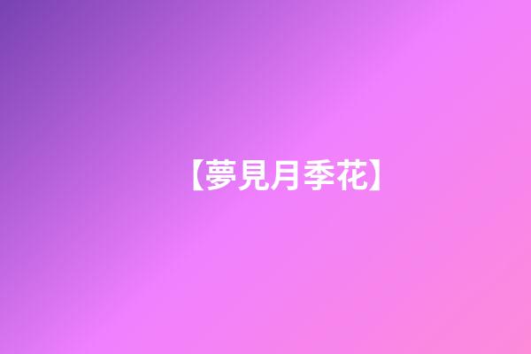 【夢見月季花】