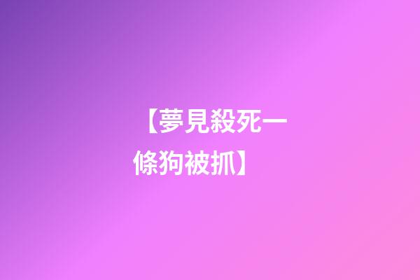 【夢見殺死一條狗被抓】