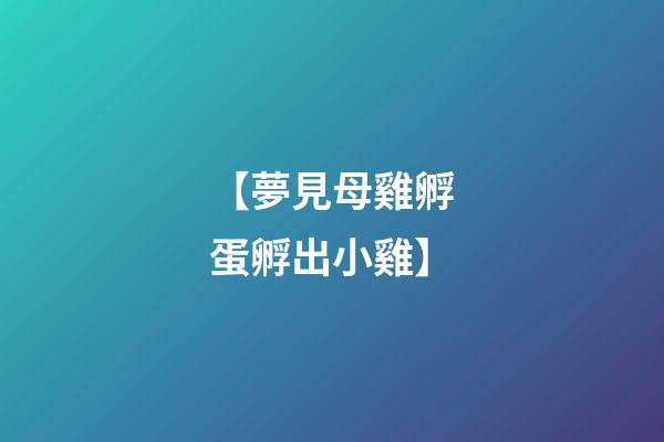 【夢見母雞孵蛋孵出小雞】