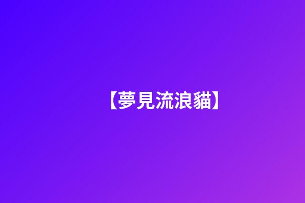 【夢見流浪貓】
